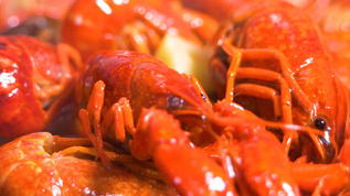 4k油焖小龙虾颠勺浇汤诱人美食视频素材