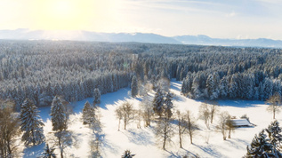 冬季景观视频素材