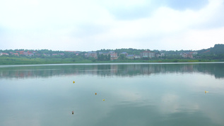 乡村湖边自然风光视频素材