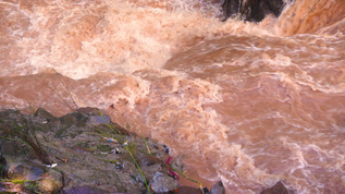 4K实拍自然灾害河流洪水 视频素材