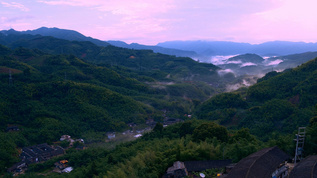 福建永定土楼景区视频素材