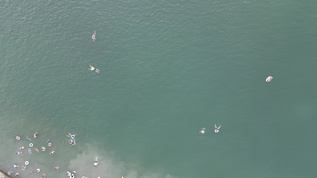 航拍夏季河中游泳的人群视频素材