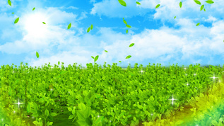 4K春天绿色植物背景素材视频素材