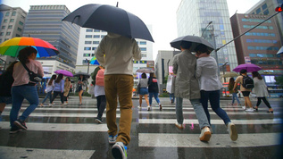 实拍韩国街上人行道上行走路人视频视频素材