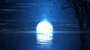 夜景湖面月亮升起4K背景视频视频素材