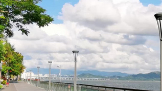 夏天海岸线人行道风光空镜竖屏竖版本视频mp4格式视频下载_正版视频编号4433623-摄图网