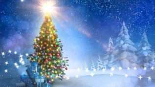 圣诞节蓝色圣诞树视频素材