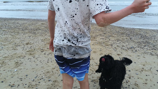 男孩和一条黑狗在海滩边玩耍视频素材