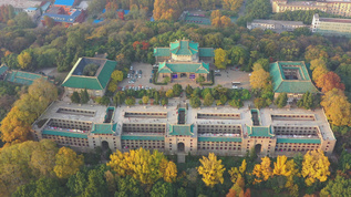 武汉大学樱花城堡航拍4K高清视频视频素材
