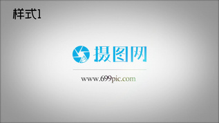 logo网站品牌logo演绎视频素材