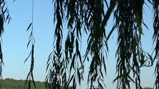 北京颐和园合集mp4格式视频下载_正版视频编号112145-摄图网
