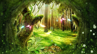 梦幻森林的早晨素材背景视频视频素材