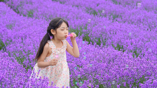 薰衣草花田里小女孩吹泡泡升格50p视频素材