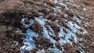 8K冬季山坡冰消雪融延时视频素材