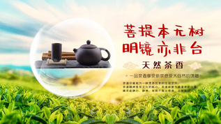 茶叶图文宣传PR模版视频素材