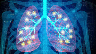 超强三维科技人体肺部视频视频素材