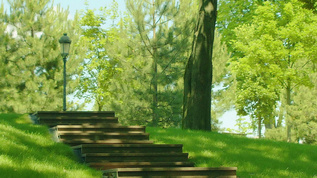 绿色森林木质台阶空镜视频素材