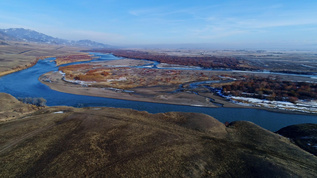 新疆塔里木河视频素材