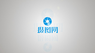 商业公司简约LOGO展示视频素材