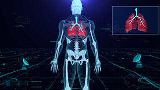科技感人体骨骼三维展示视频素材