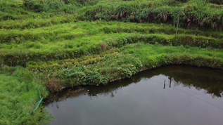 小山村 村庄航拍美景视频素材