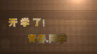 同学会相册会声会影X10模板视频素材