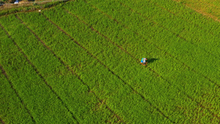 农田里喷洒农药的农民航拍特写视频素材