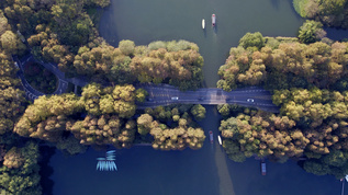 4K实拍秋天的杭州杨公堤风景视频素材