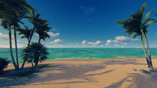 浪漫海滩背景视频素材