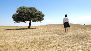 少女在旷野中走向远方视频素材