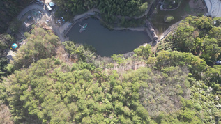 大自然绿色植物森林蜿蜒盘山公路云雾缭绕航拍 视频素材