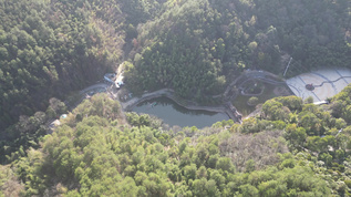 大自然绿色植物森林蜿蜒盘山公路云雾缭绕航拍 视频素材