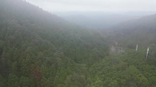 大自然绿色植物森林蜿蜒盘山公路云雾缭绕航拍 视频素材