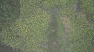 大自然绿色植物森林蜿蜒盘山公路云雾缭绕航拍 视频素材