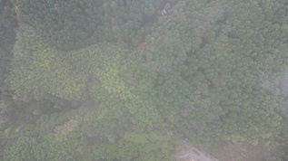 大自然绿色植物森林蜿蜒盘山公路云雾缭绕航拍 视频素材