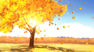枫叶飘落秋天背景视频素材
