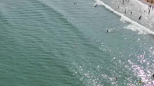 航拍海水浴场mp4格式视频下载_正版视频编号4513566-摄图网