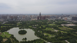 西安大明宫遗址公园城市风光4k航拍视频素材