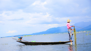 缅甸茵莱湖捕鱼人视频素材