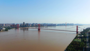 4K航拍武汉鹦鹉洲长江大桥视频素材
