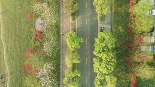 4K公园踏青花卉人流航拍视频素材