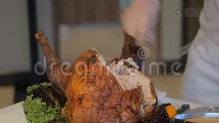 餐馆的厨师把鸟切了mov格式视频下载_正版视频编号894958-摄图网