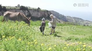 孩子们在田里喂驴mov格式视频下载_正版视频编号1196336-摄图网