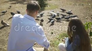 小男孩和他可爱的小妹妹在公园里玩得开心，周末或家庭日在公园里喂鸽子mp4格式视频下载_正版视频编号1422169-摄图网