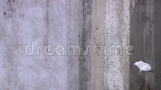 绑起来。mov格式视频下载_正版视频编号2322306-摄图网