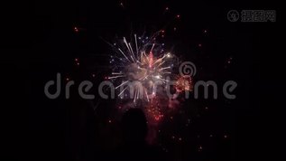 在黑暗的天空下，人们在假日里观看五彩缤纷的烟花mp4格式视频下载_正版视频编号1125108-摄图网