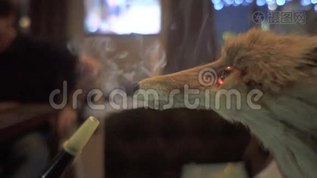 狐狸在酒吧里抽烟mp4格式视频下载_正版视频编号2032033-摄图网