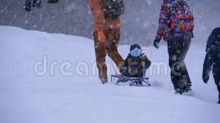 一家人的爸爸，妈妈，小儿子和女儿骑着雪橇在松树林里下雪。 慢动作mov格式视频下载_正版视频编号2417025-摄图网