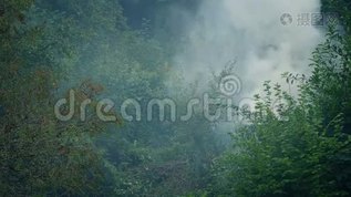 浓烟从火焰中升起mov格式视频下载_正版视频编号2042577-摄图网