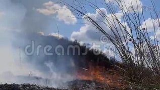 重火和烟雾对环境有害mp4格式视频下载_正版视频编号679859-摄图网
